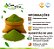 Pacote de Chá Moringa em Pó - Imagem 2
