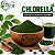 Chlorella em Pó - Imagem 1