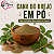 Cana do Brejo em Pó - Imagem 1