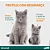 Vermífugo Drontal Spot On 0,70ml para Gatos 2,5kg a 5kg 1 bisnaga - Imagem 5