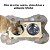 Tapete Tecil Osso para Pets 40x60 cm Antiderrapante - Imagem 11