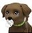 Pet da Barbie DJ - Imagem 3