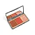 Paleta Sculpt, Blush & Glow MEDIUM - Imagem 1