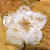 Centro de mesa flor com detalhes na cor ouro - Imagem 1