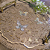 Bandeja geodo borboletas com alça - Imagem 2