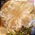 Centro de mesa flor com detalhes na cor ouro - Imagem 3