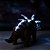 Dinossauro Com Luz E Som Triceratops Rocky Srt Cor - Imagem 9