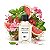 Perfume Importado Lacoste Match Point Eau de Toilette - Imagem 2