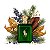 Perfume Importado Ralph Lauren Polo Green Eau de Toilette - Imagem 2