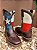 BOTA MED DOG ESTRELA TRI DIAMOND SOLADO JUMP DURANGO - Imagem 3