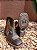 REF 513 BOTA INFANTIL FOSSIL CAFÉ SOLADO PONEY PALMA - Imagem 2