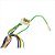 Rede Elétrica Superior Para Lavadora Top Load LT12B Electrolux Original - A03278501 - Imagem 13