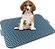 Sanitário Canino Azul - Xixi Dog - Imagem 1
