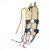 Resistência 127V Com Termostato Para Limpador Jato a Vapor MOP10 MOP11 Electrolux A18868001 - Imagem 2