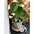 Planta de Cacto Feliz com Sistema de Irrigação Solution 3D 538453 - Imagem 4