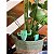 Planta de Cacto Feliz com Sistema de Irrigação Solution 3D 538453 - Imagem 3