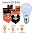 FOXLUX LAMP   BULBO LED  09W  6500K  90.07 - Imagem 3