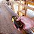 DEWALT TRENA  LASER  20M   2P AAA   DW065E - Imagem 6