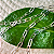 Corrente Elos 75 cm - Prata 925 - Imagem 3