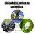 Mata Cochonilha Pronto Uso 500ml - Forth - Imagem 2
