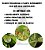 Acaricida Pronto Uso 500ml - Forth - Imagem 2