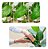 Brilha Folha 500ml - Forth Jardim - Imagem 4