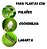 Madeltrine Plus 300ml - Dipil - Imagem 3