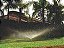 Aspersor Haste P4 - Agrojet - Imagem 2