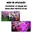 Fertilizante P/ Floração De Orquídea 500ml - Forth - Imagem 2