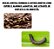 Spray Mata Formigas Cortadeira 500ml - Forth - Imagem 2