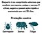 Simparic 3 comprimidos 1,3kg A 60kg - Zoetis - Imagem 3