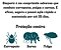 Simparic 3 comprimidos 1,3kg A 60kg - Zoetis - Imagem 7
