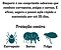 Simparic 3 comprimidos 1,3kg A 60kg - Zoetis - Imagem 19