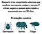 Simparic 3 comprimidos 1,3kg A 60kg - Zoetis - Imagem 15