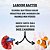 Bacter 2,5g - Alcon - Imagem 2