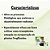 Enraizador 60ml - Forth - Imagem 3