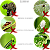 Fungicida E Defende Óleo De Neem 500ml- Forth - Imagem 3