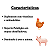 Poliforte 100g - Trouw Nutrition - Imagem 2