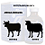Oxitetraciclina 20% 50ml- Microsules - Imagem 3