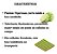 Semente Repolho Híbrido Astrus Plus 5,000 Sementes -Seminis - Imagem 4