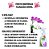 Kit Plantio Orquídeas Completo Cachepô Floração Crescimento - Imagem 7