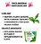 Kit Plantio Orquídeas Completo Cachepô Floração Crescimento - Imagem 6