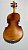 Violino Madeira Macica 4/4 Ajustado Estandarte e Cravelha em Ebano Fundo Inteiro - Imagem 2