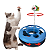 Brinquedo Interativo Para Gatos Pets Colorido Bolinha Guizo - Imagem 5