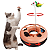 Brinquedo Interativo Para Gatos Pets Colorido Bolinha Guizo - Imagem 8