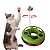 Brinquedo Interativo Para Gatos Pets Colorido Bolinha Guizo - Imagem 4