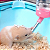 Bebedouro Para Porquinho Da India Hamster Ou Coelho 125 Ml - Imagem 2