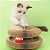 Arranhador Mágico Gato Brinquedo Papelão Dobrável Bola Guizo - Imagem 3