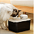 Bebedouro Fonte de Água Automático para Gatos e Cachorros com Luz UV e Sensor - Imagem 4