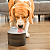 Bebedouro Fonte de Água Automático para Pets 3L com Sensor e USB - Imagem 6
